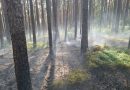 Waldbrand in Gramatl