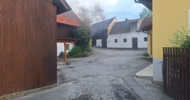 Brandübung in Gramatl