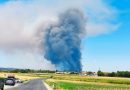 Großbrand im Föhrenwald Großbrand im Föhrenwald