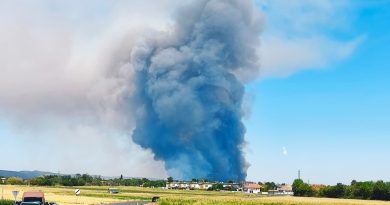 Großbrand im Föhrenwald Großbrand im Föhrenwald
