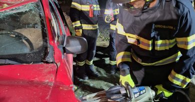 Gemeinsame Übung mit der FF Wartmannstetten