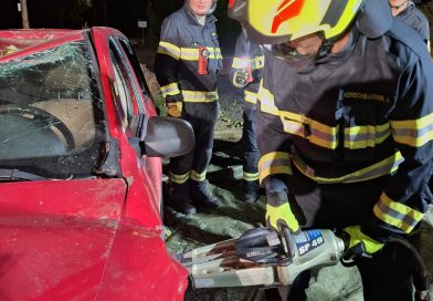 Gemeinsame Übung mit der FF Wartmannstetten
