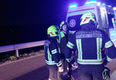 Bergung eines Kleinfahrzeuges in Wartmannstetten Bergung eines Kleinfahrzeuges in Wartmannstetten